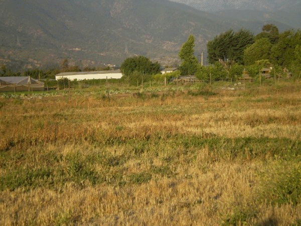  Parcela en Limache 