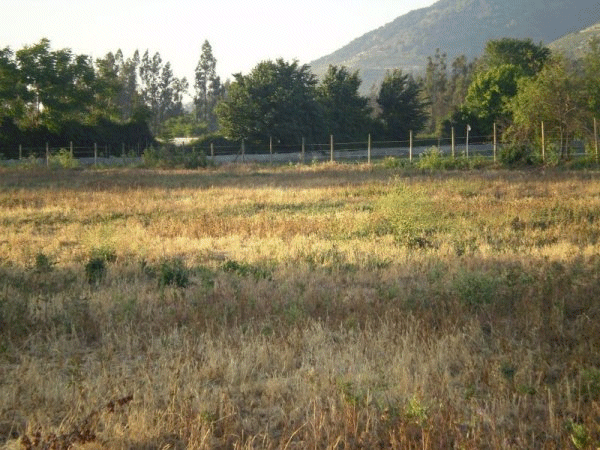  Parcela en Limache 